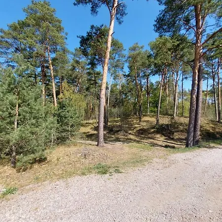 Goscinne Zacisze * Jantar